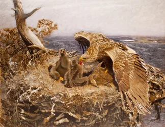 Havsörnens bo, 1907
